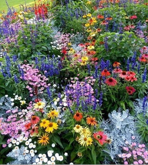 Mixed Perennial Flowers Seeds-Over 60 kinds mixed