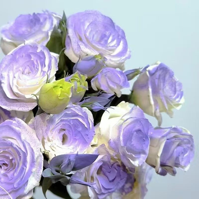 🌹 Зимна разпродажба на цветя 🔥 Издръжливи и редки семена от рози! 🌼