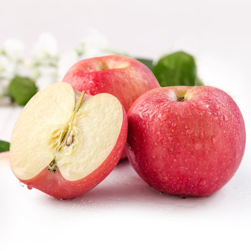 Bonsai Apple Seeds 🌱 Dwarf Apple Tree 🌳 Balcony Fruits 🍎