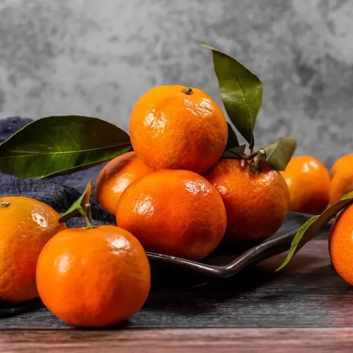 🍊Potted Sugar Tangerine Seeds