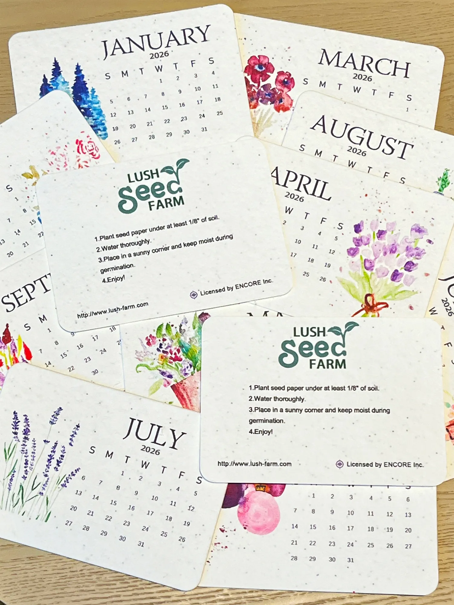 Eco-Friendly Plantable Seedss