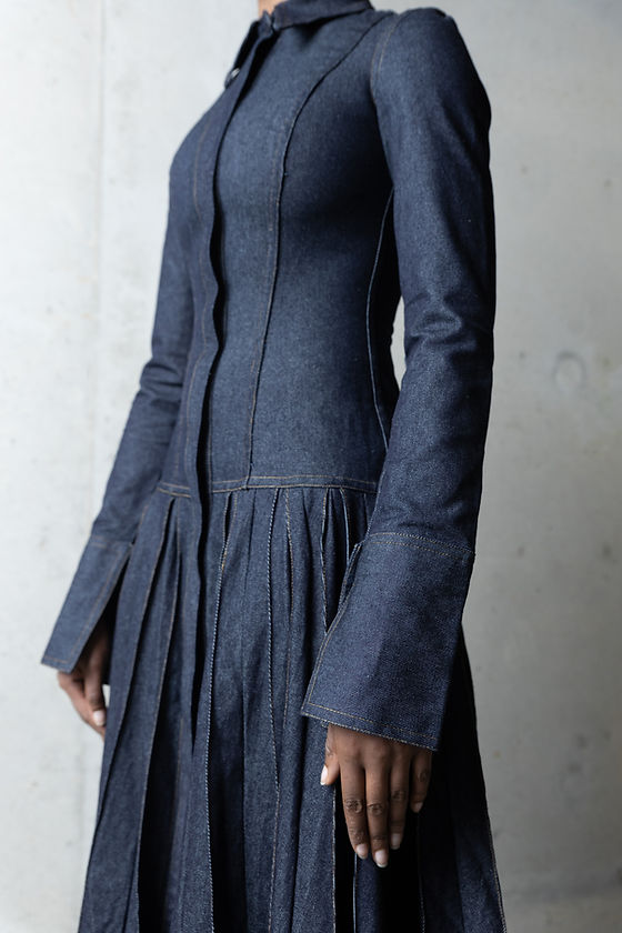 Pleated Flared Denim Dress