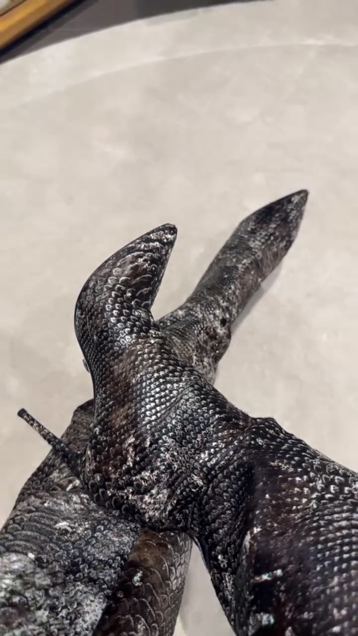 Snake-print Over-the-knee Boots