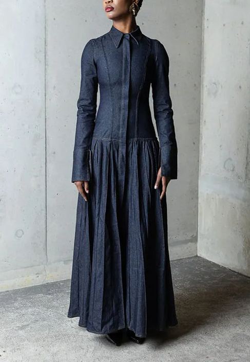 Pleated Flared Denim Dress