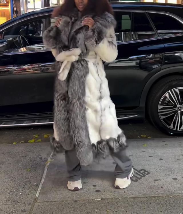 Luxurious Long Rabbit Coat