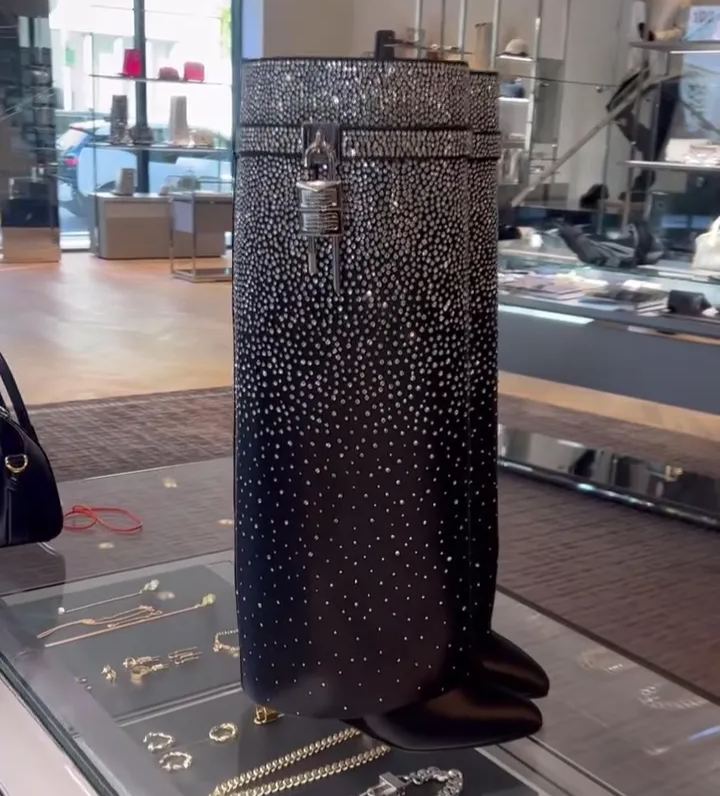 Sparkling Rhinestone Pointed-toe Boots