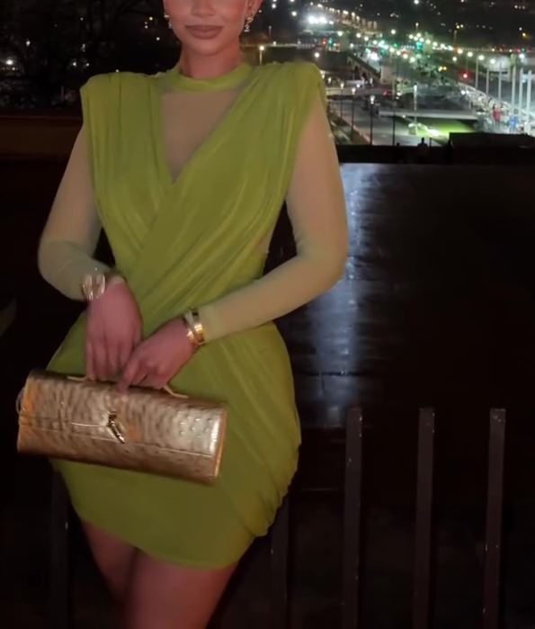 Green Elegant Mesh Mini Dress