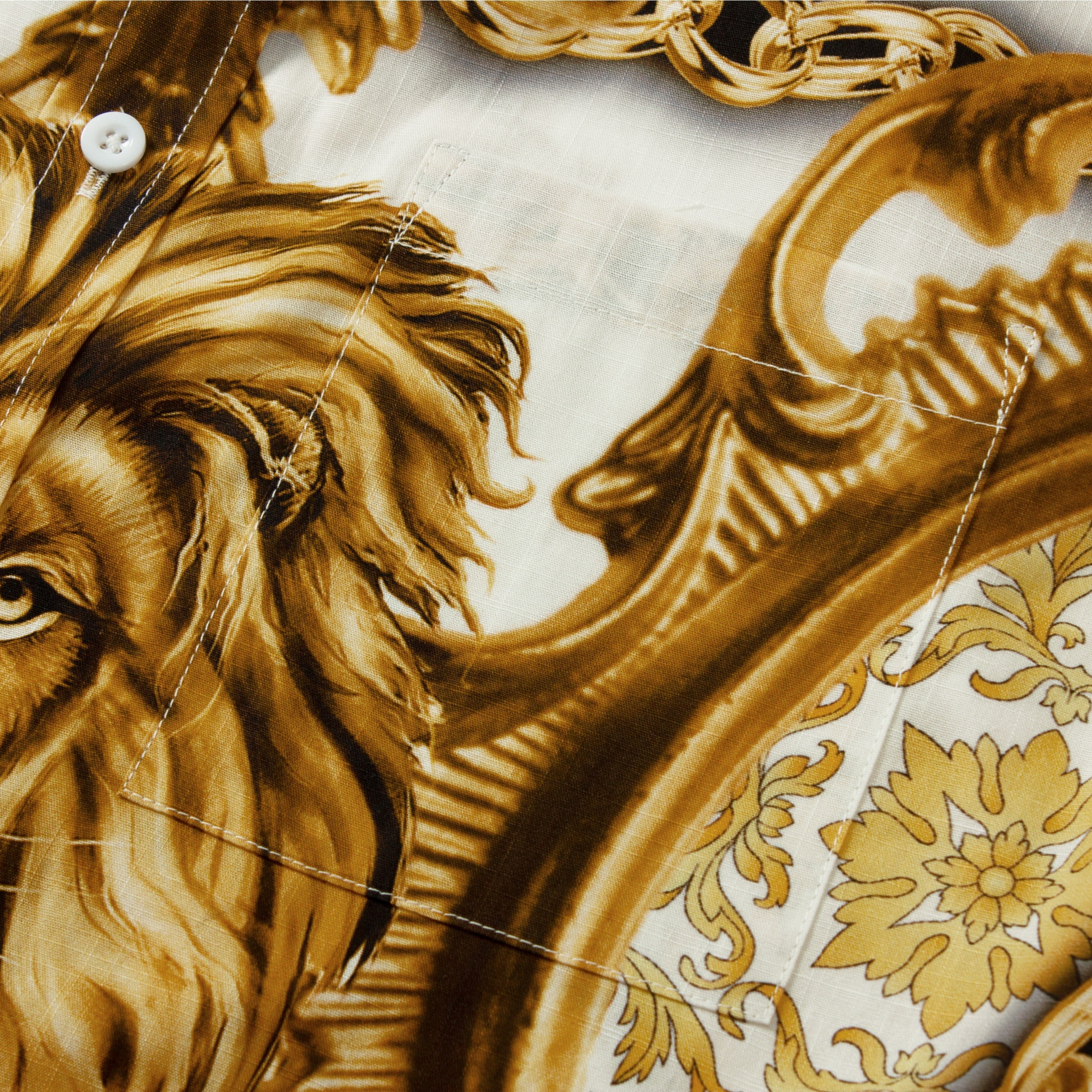 Lion's Legacy Jonvidesign