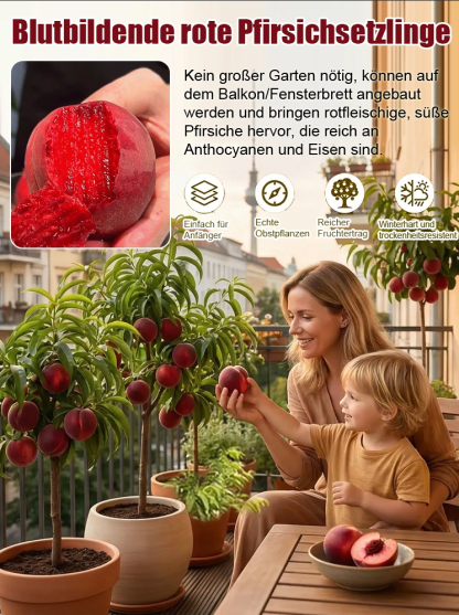 ✨Fruchtreif in 1 Monaten，🌿 Extrem pflegeleicht，Lebenslanger Genuss!
