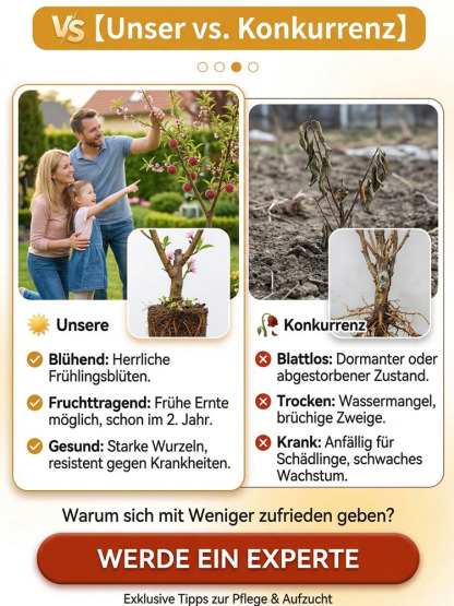 ✨Fruchtreif in 1 Monaten，🌿 Extrem pflegeleicht，Lebenslanger Genuss!