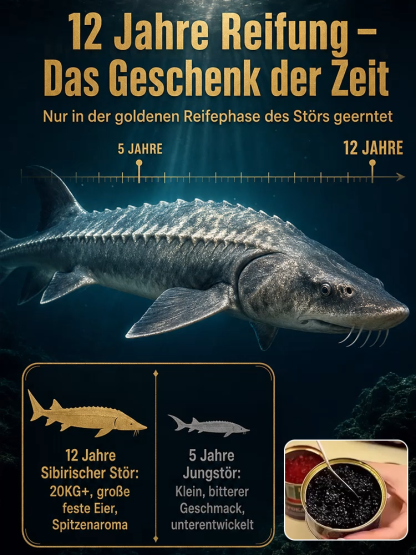 Premium Sibirischer Stör Kaviar (>3,0mm Riesen-Kaviareier) – 12 Jahre Reifung, 3,5% Malossol Low-Sodium – Exklusiver Gourmet-Sonderverkauf