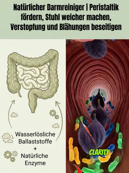 100% Naturbelassene Feigen (Dreimal Gedämpft & Sonnengetrocknet) | 13g Ballaststoffe pro 100g | EU-geprüfte Qualität 🔬