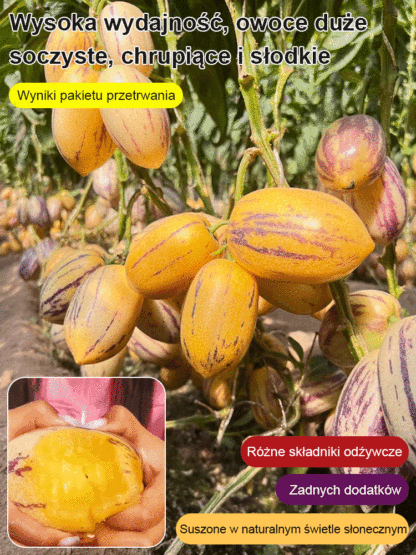 Chciałbyś uprawiać owoce o mlecznym smaku na własnym balkonie? 🥛🍇 Ten "złoty owoc żeń-szenia" to nie tylko pyszna przekąska, ale także naturalny strażnik zdrowia dla całej rodziny.