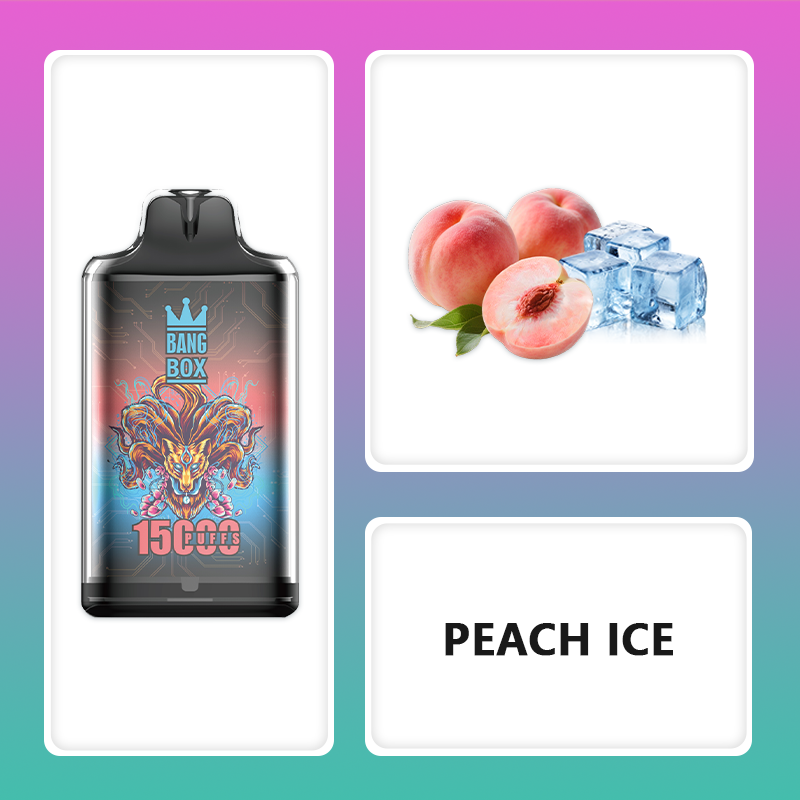 BANG BOX S1-15000 Puffs Disposable Vape