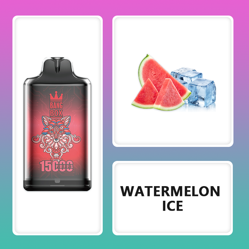 BANG BOX S1-15000 Puffs Disposable Vape