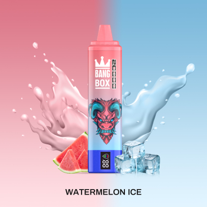 BANG BOX 20000 Puffs Double Flavor Disposable Vape - Watermelon Ice