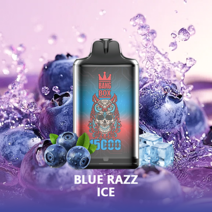 BANG BOX S1-15000 Puffs Disposable Vape-Blue Razz Ice