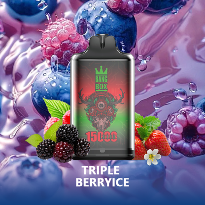 BANG BOX S1-15000 Puffs Disposable Vape-Triple Berryice