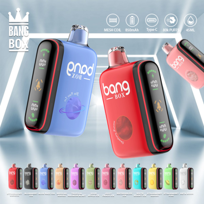 BANG BOX 9000-18000 Puffs Disposable Vape - Blueberry ice