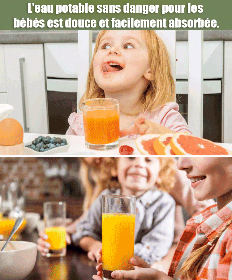 Juicer électrique domestique automatique