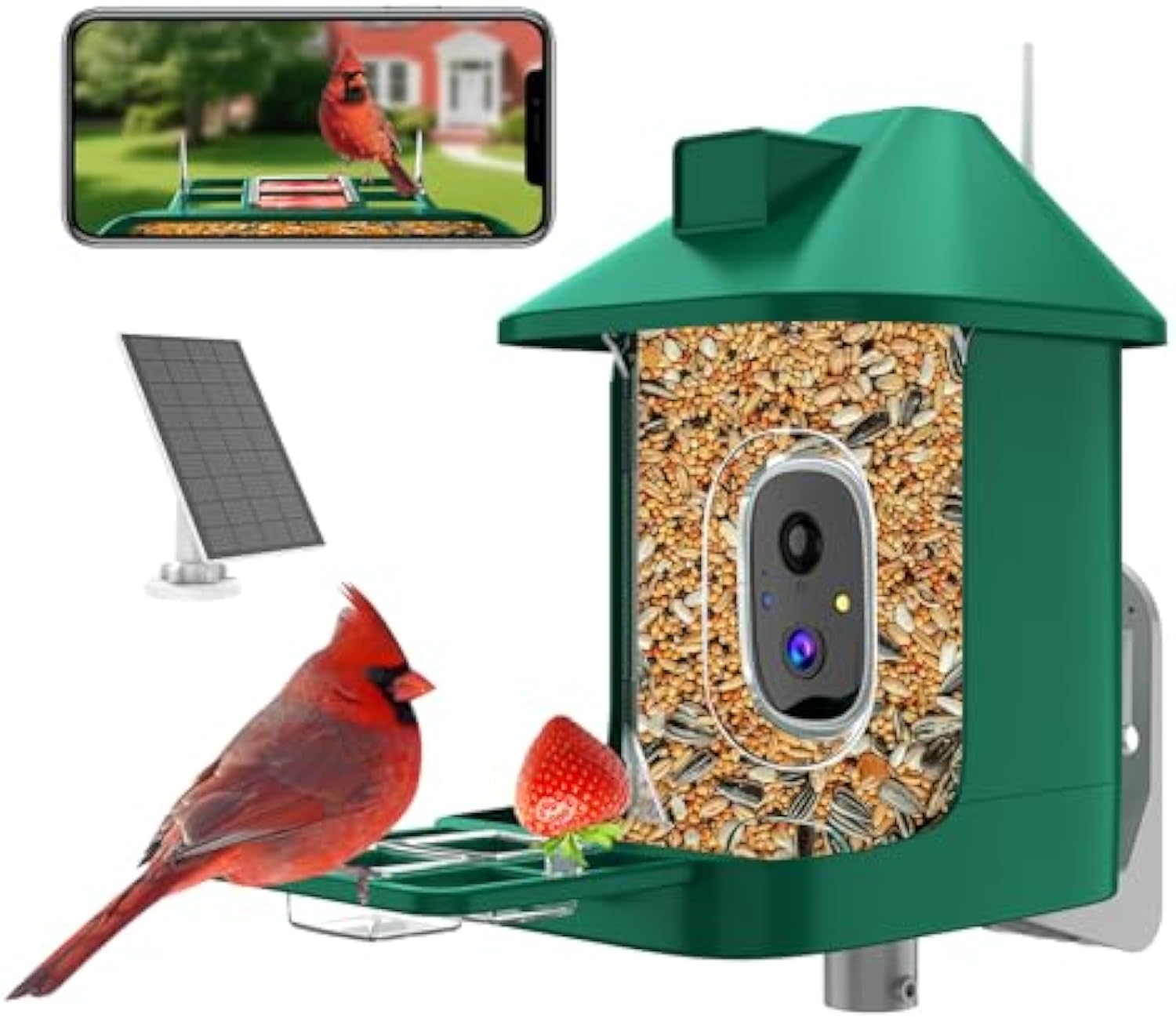 Bird Feeder with Camera