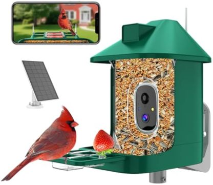 Bird Feeder with Camera