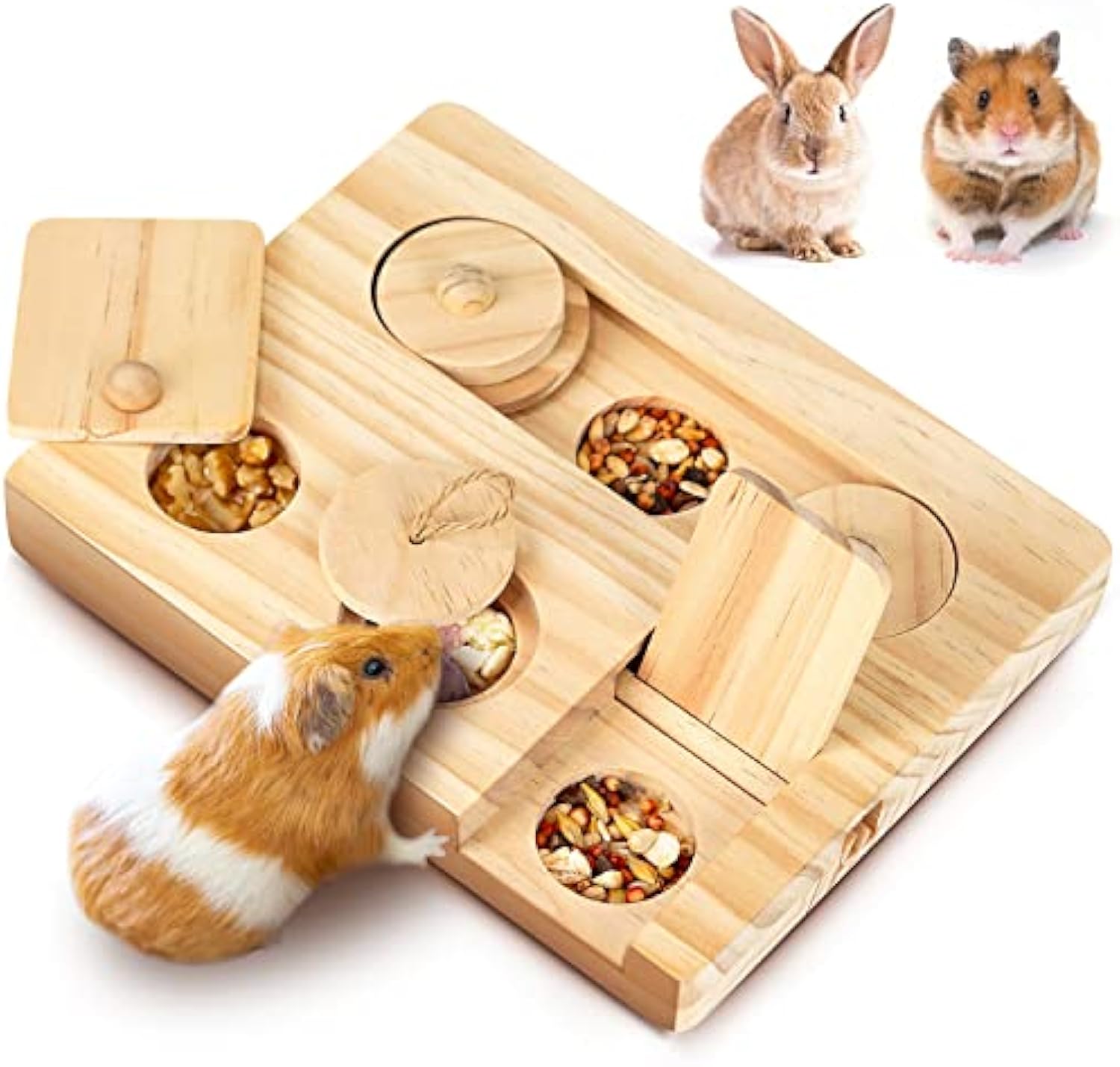 Guinea Pig Foraging Toys