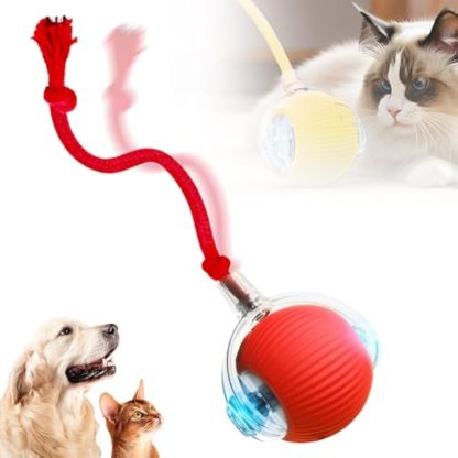 Interactive Cat Toy