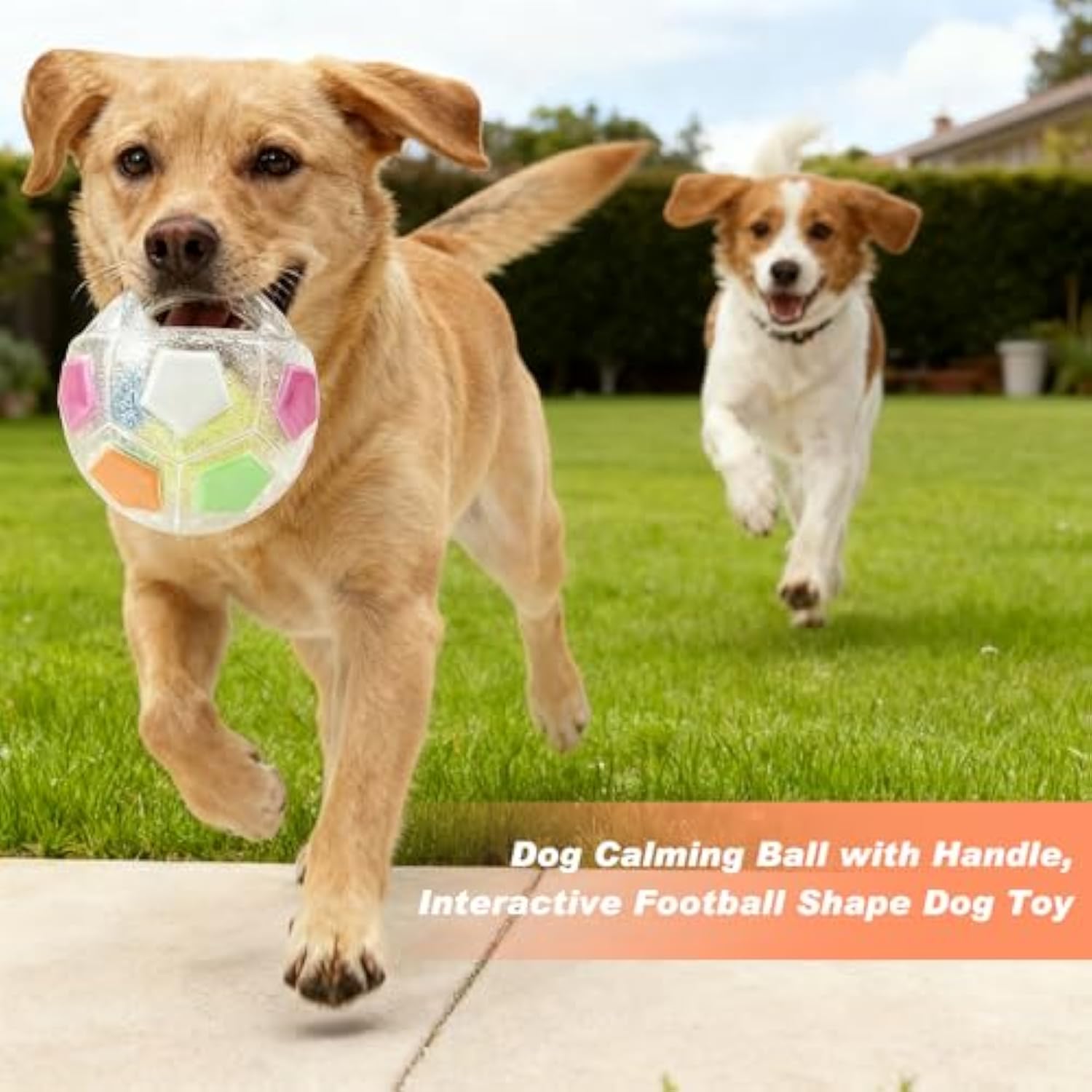 Dog Calming Ball with Handle