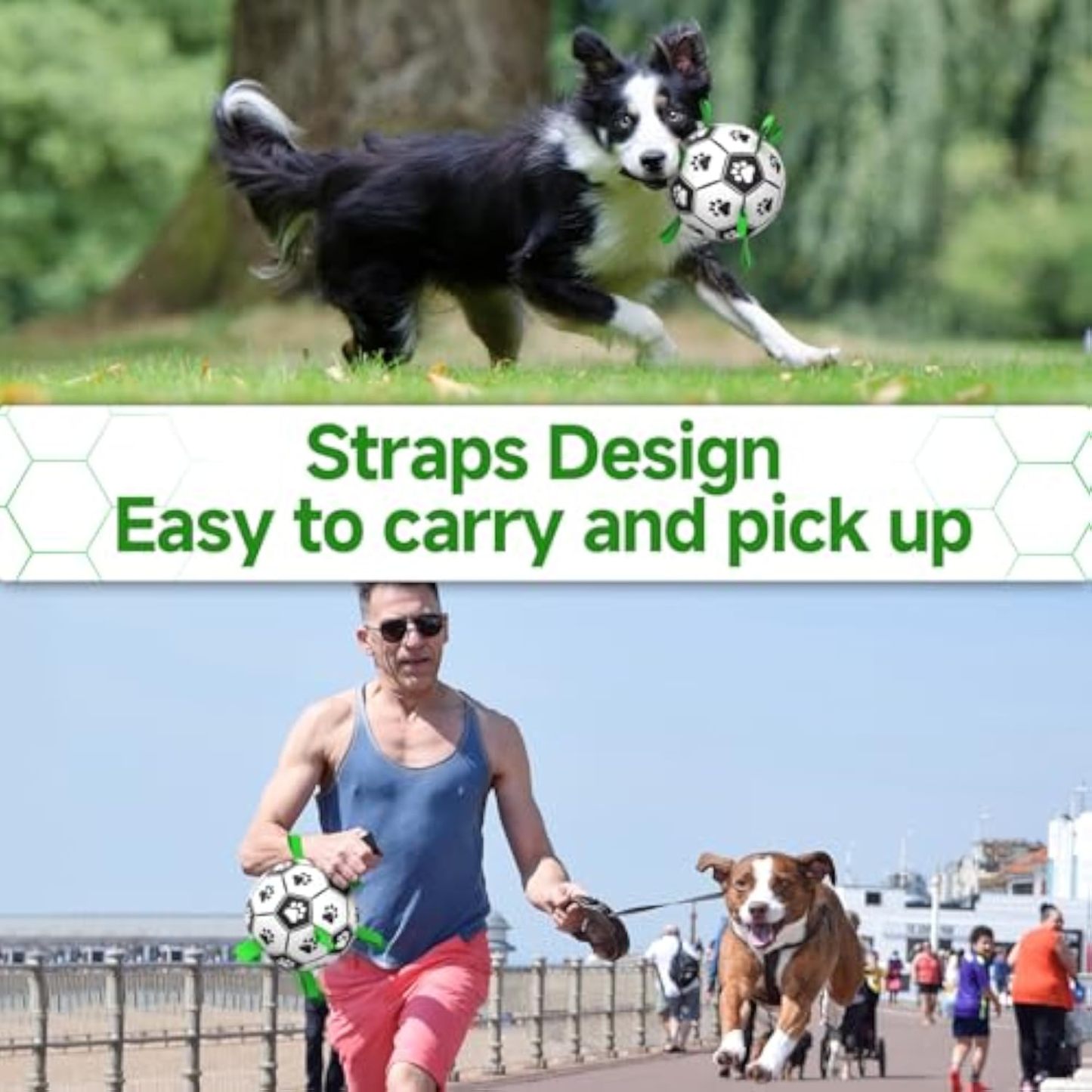 Premium Dog Toys Balls