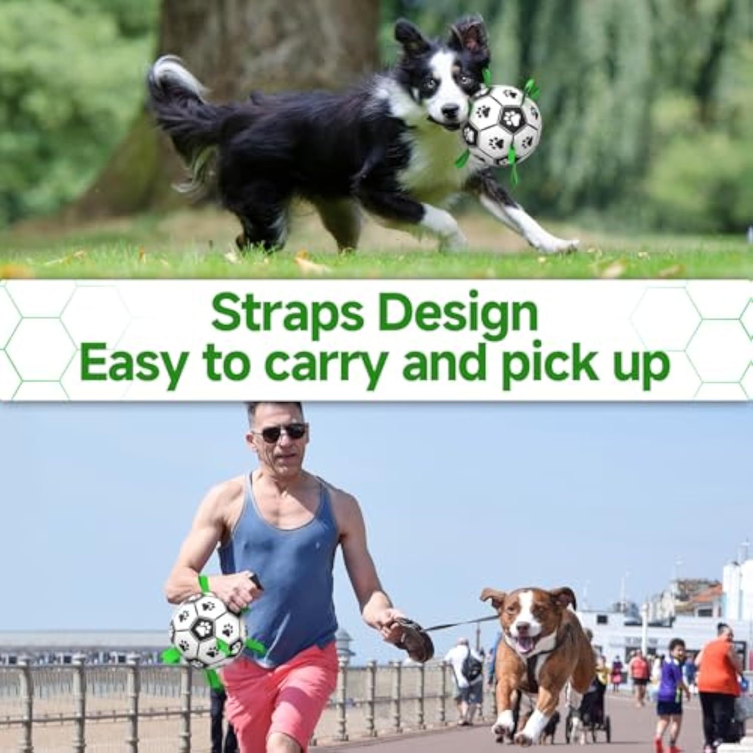 Premium Dog Toys Balls