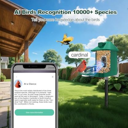 Bird Feeder with Camera