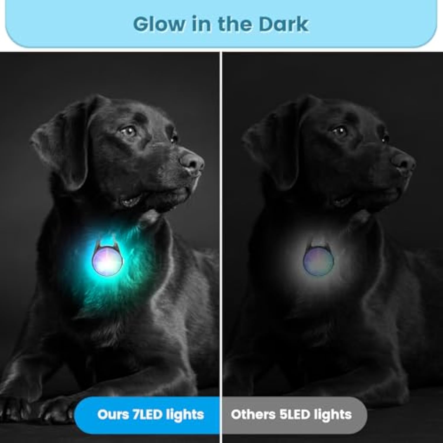 2Pack Dog Lights for Night Walking Dog