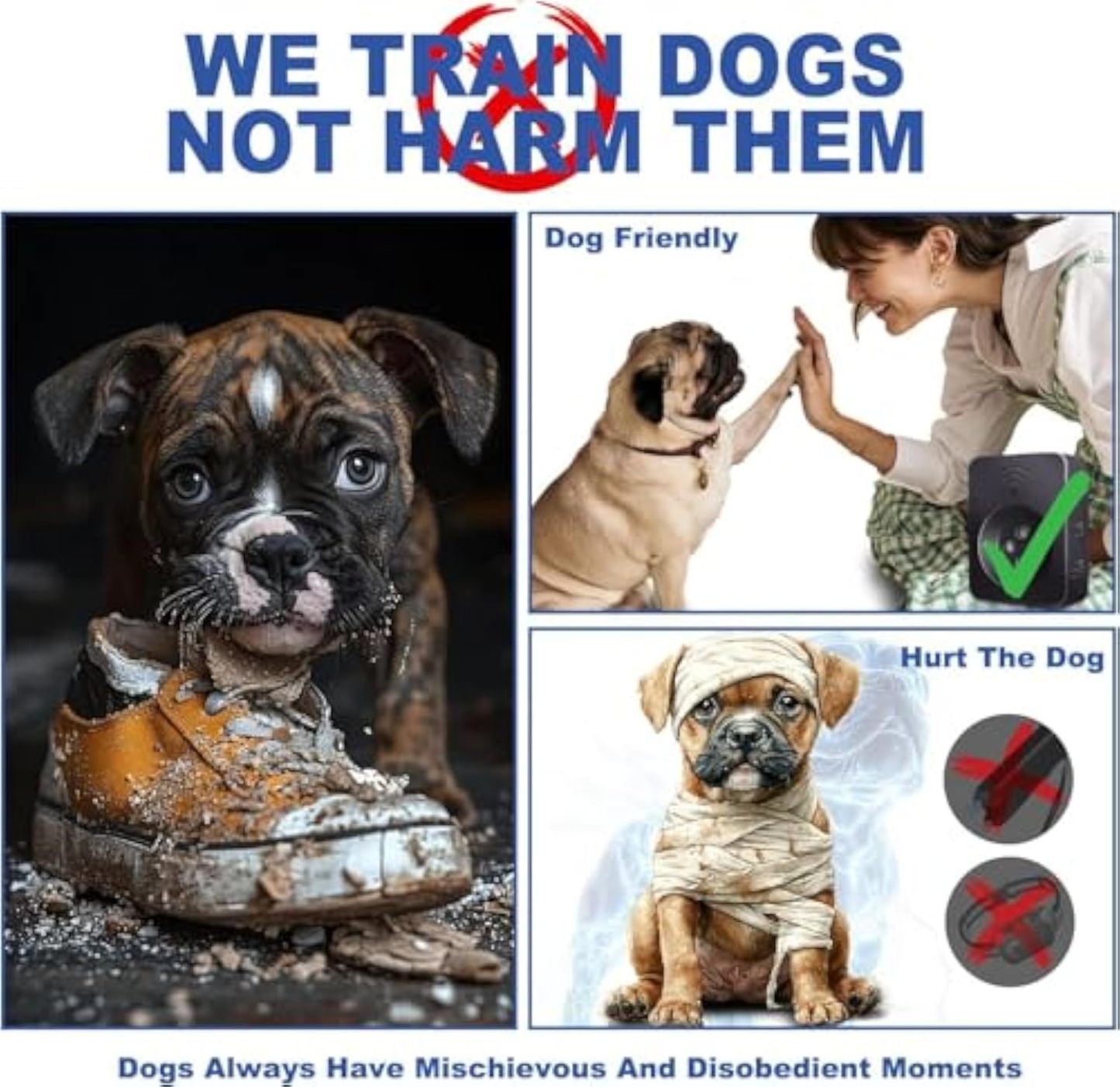 Anti Barking Devices