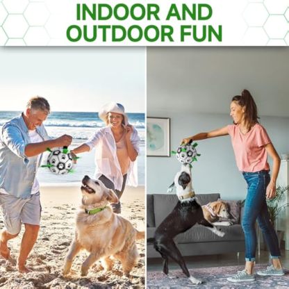 Premium Dog Toys Balls