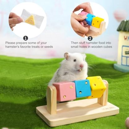 Hamster Enrichment Toys
