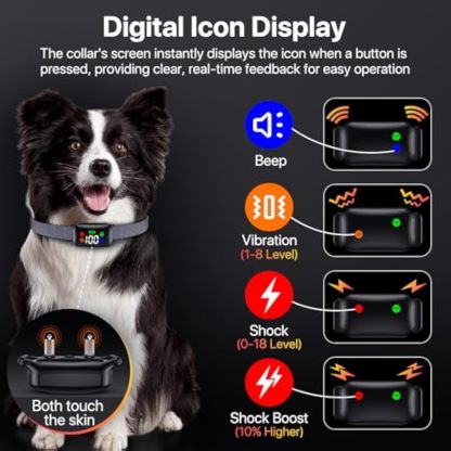 Dog Training Collar