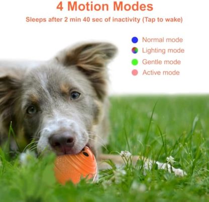 Interactive Dog Ball
