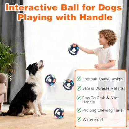 Dog Calming Ball with Handle