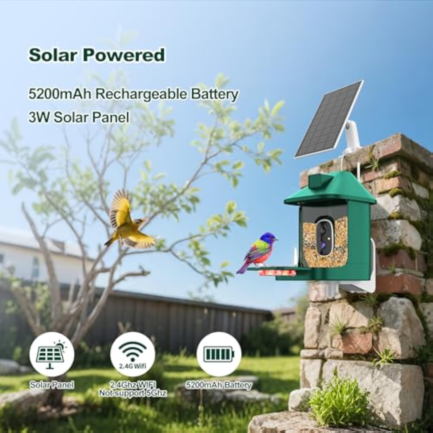 Bird Feeder with Camera