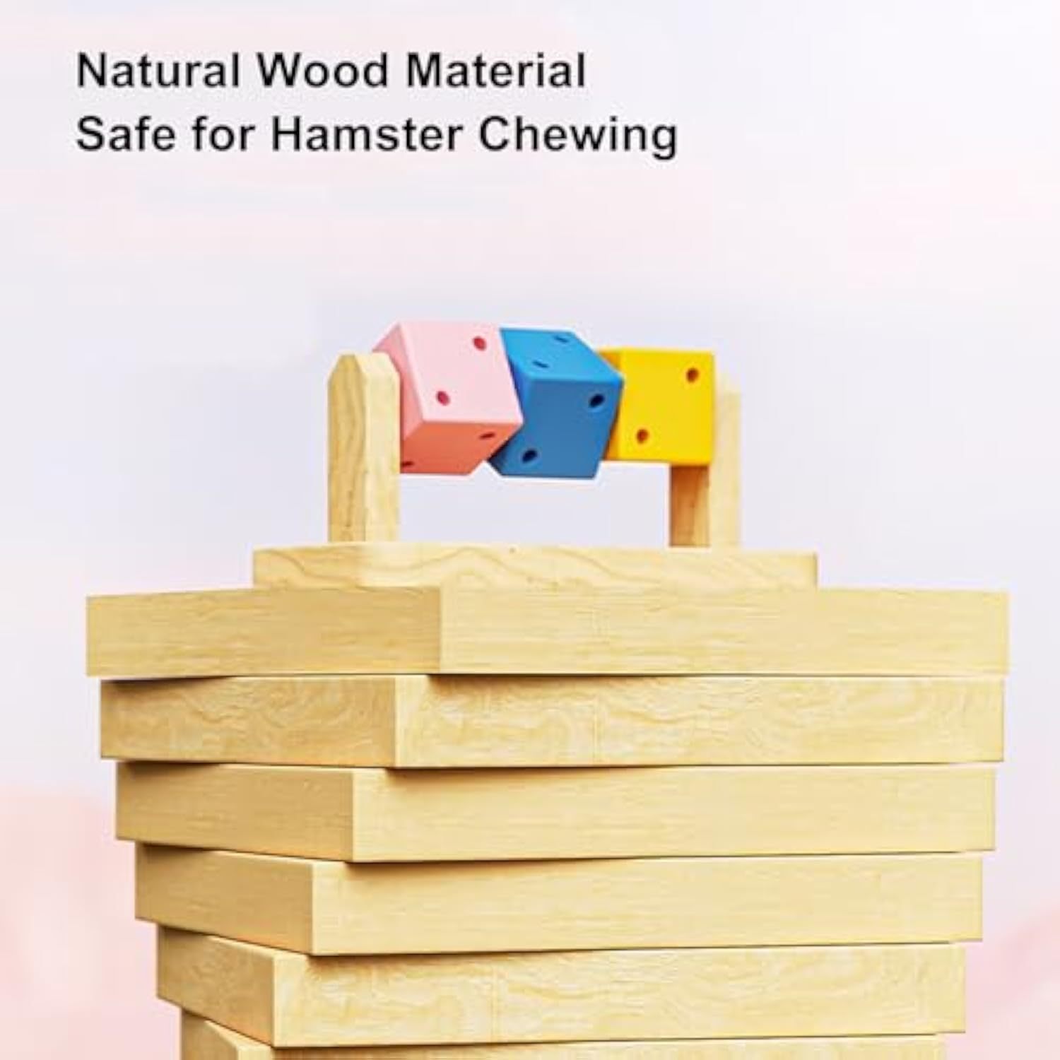 Hamster Enrichment Toys