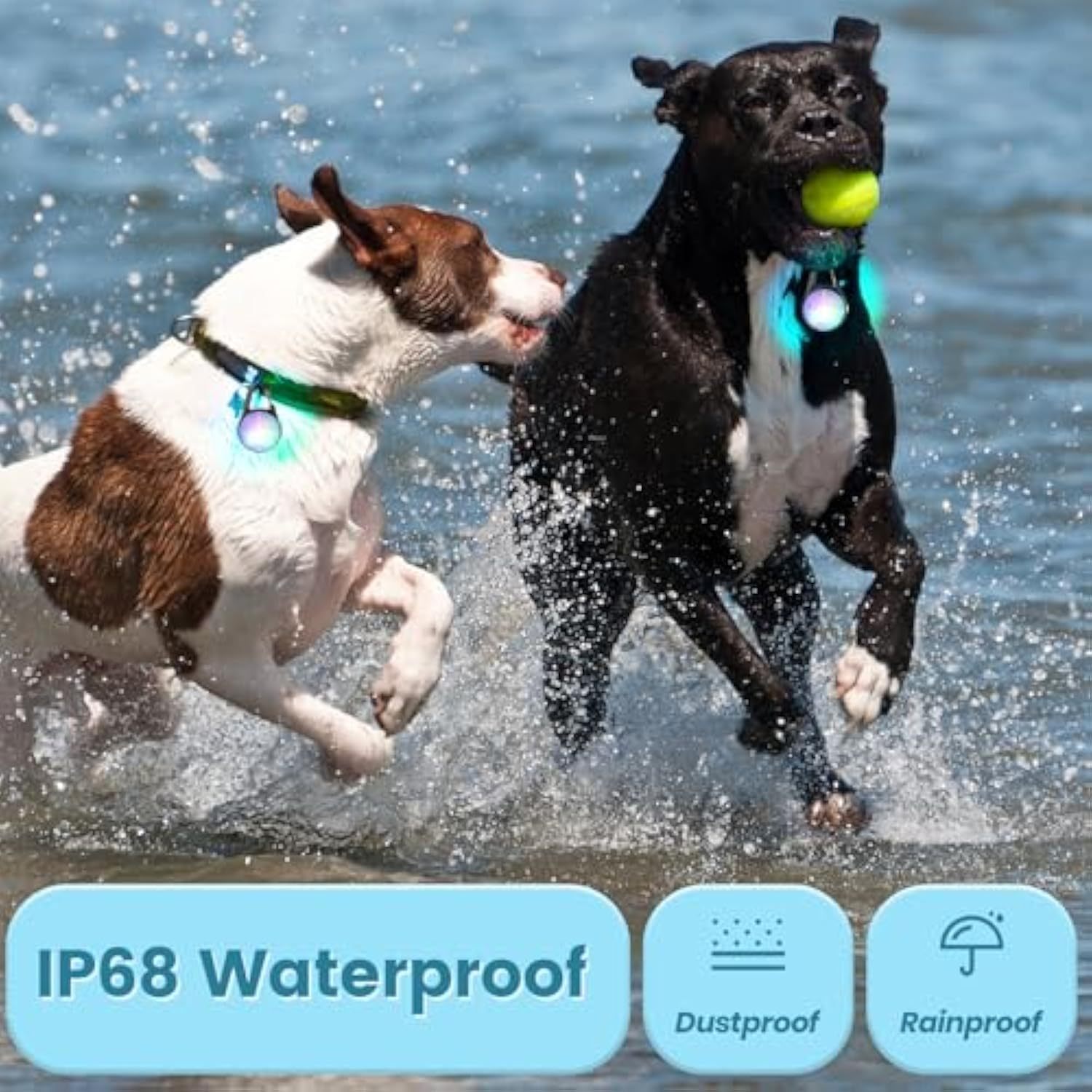 2Pack Dog Lights for Night Walking Dog