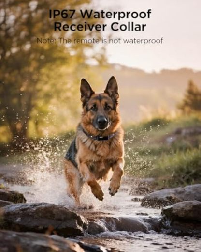 Military Dog Shock Collar