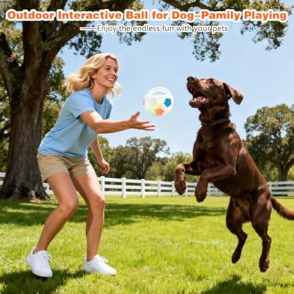 Dog Calming Ball with Handle