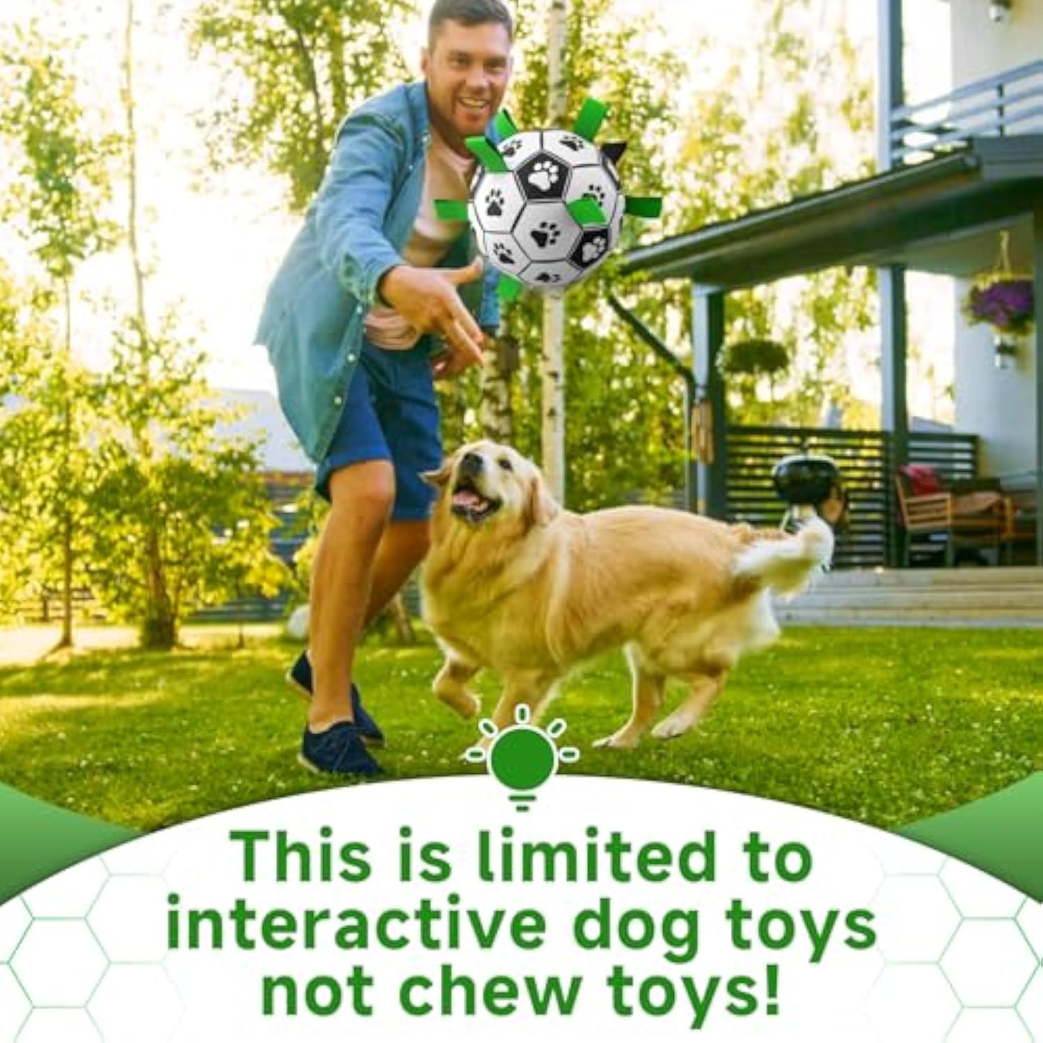 Premium Dog Toys Balls