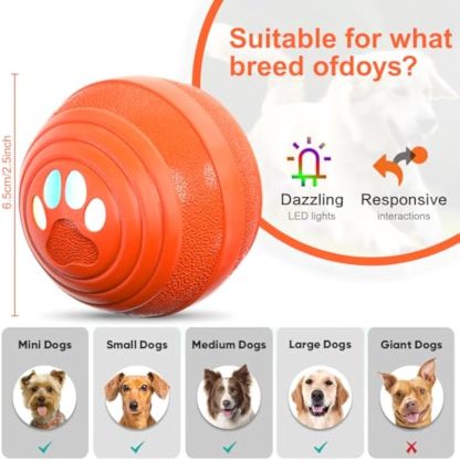 Interactive Dog Ball