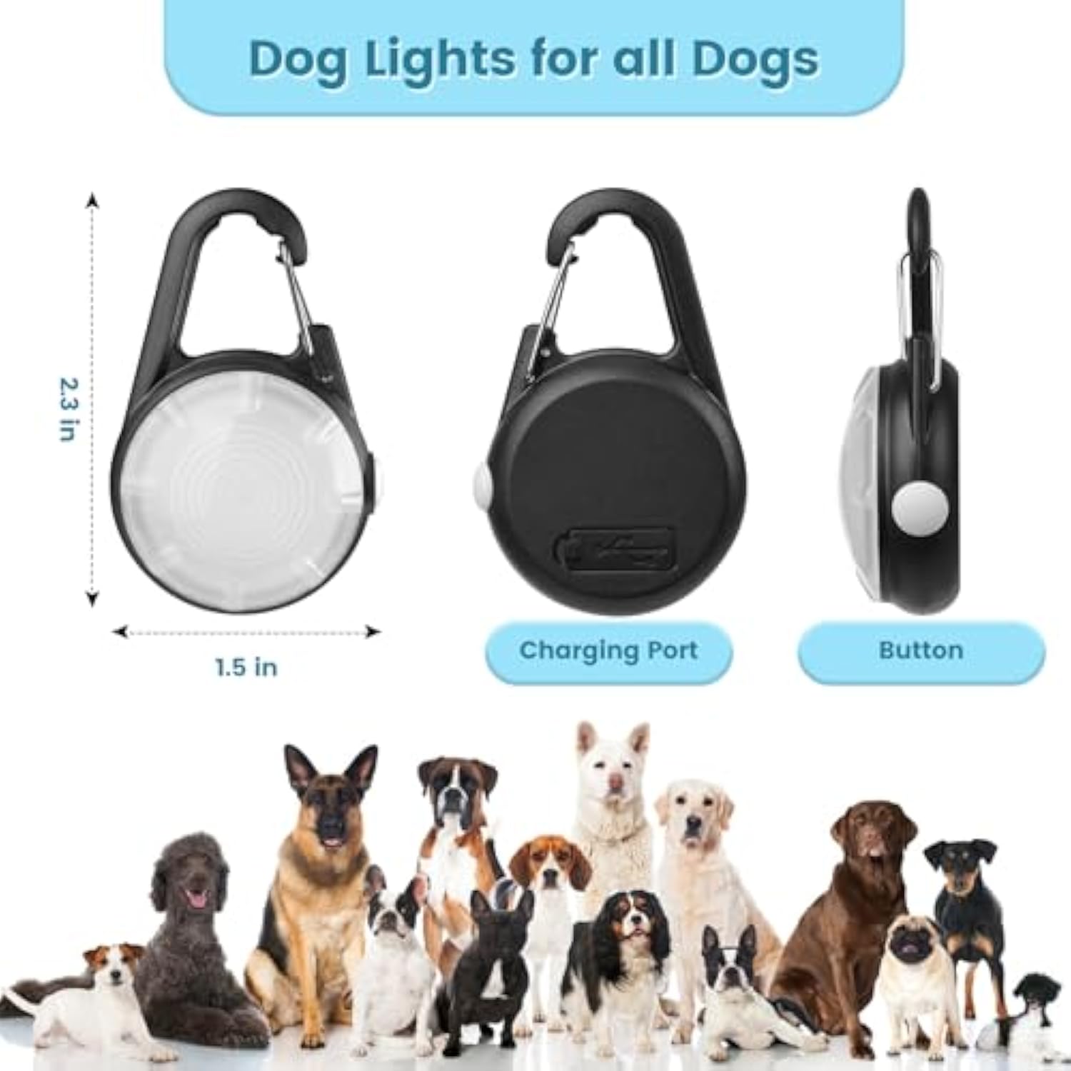 2Pack Dog Lights for Night Walking Dog
