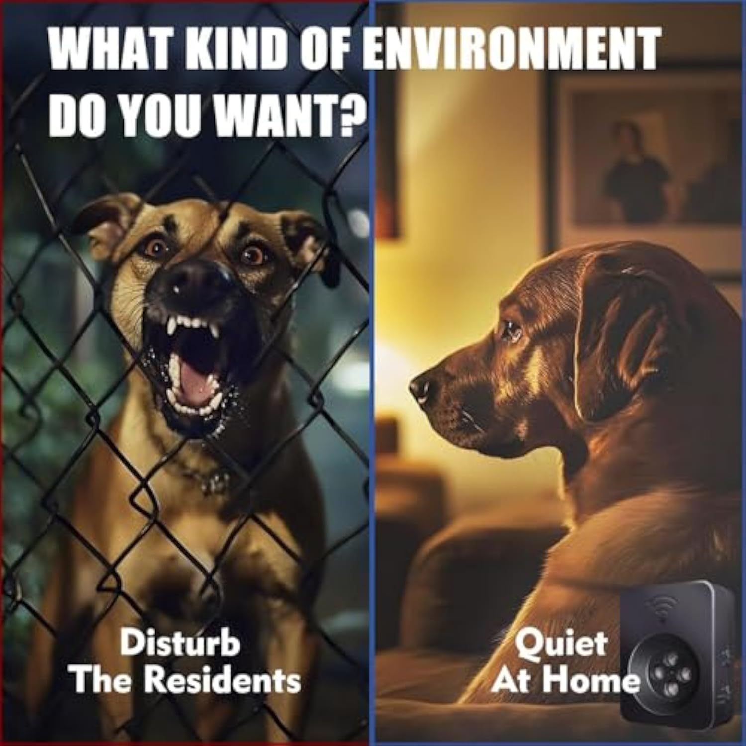 Anti Barking Devices