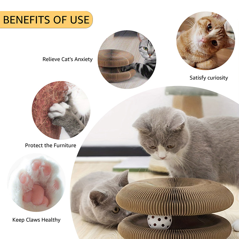 Magic Organ Cat Scratcher Toy