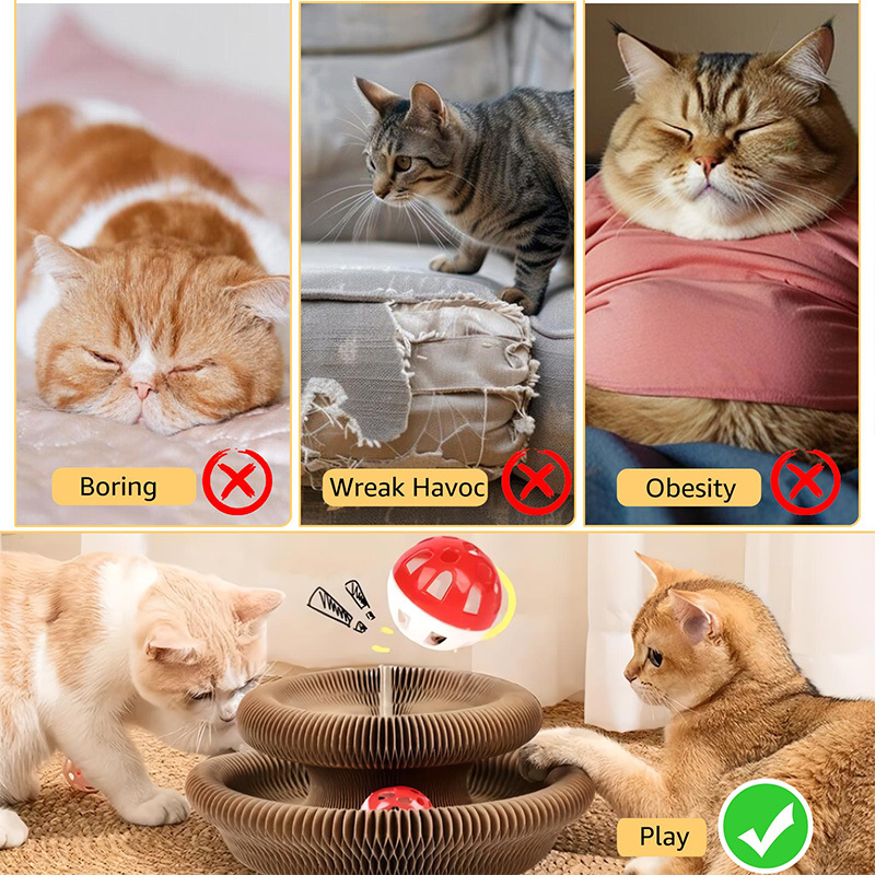 Magic Organ Cat Scratcher Toy